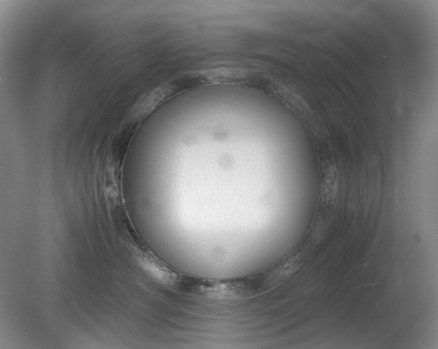 X0000079320430200612011847