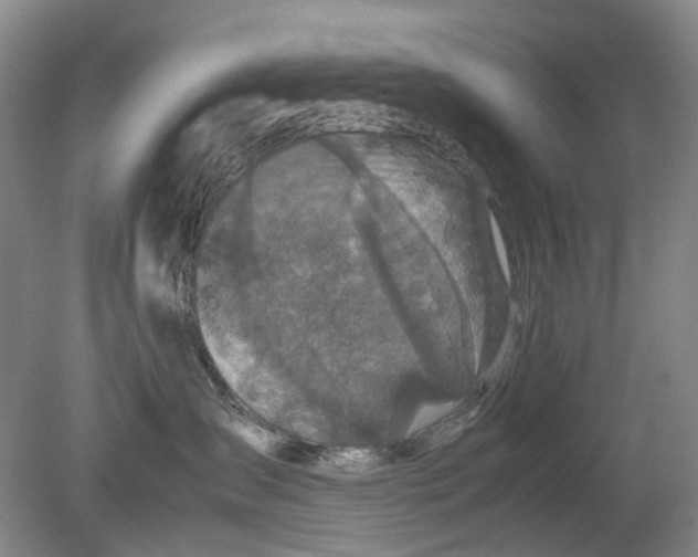 X0000079320431200612011847