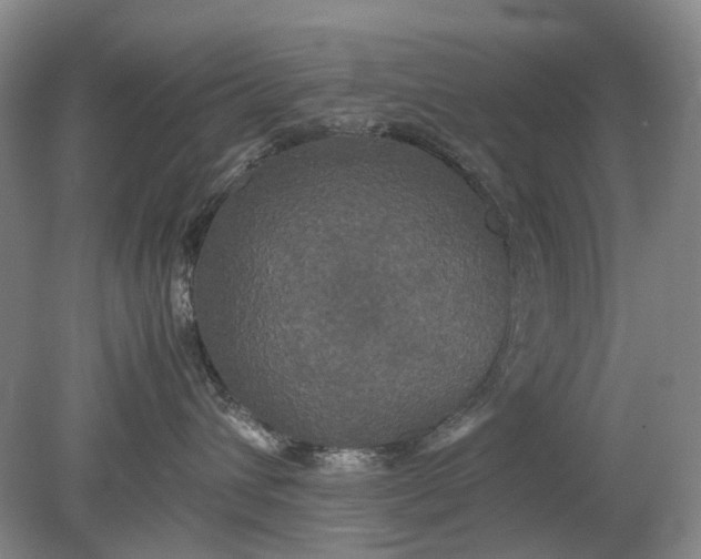 X0000079320432200612011847