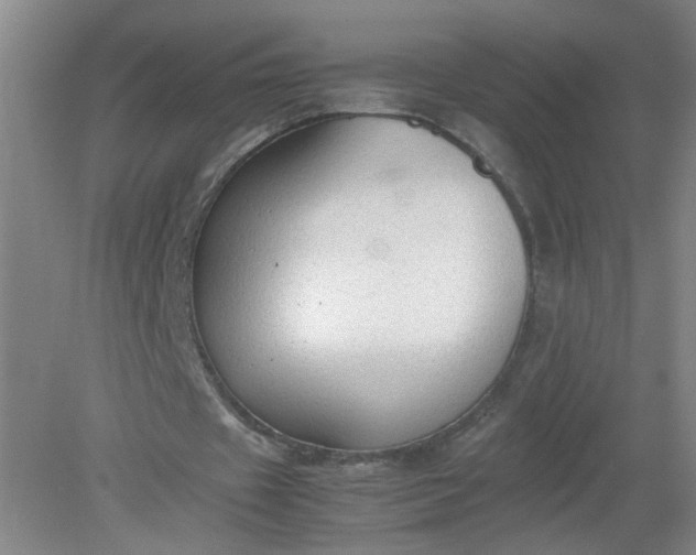 X0000079320433200612011846