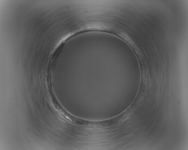 X0000079320434200612011846