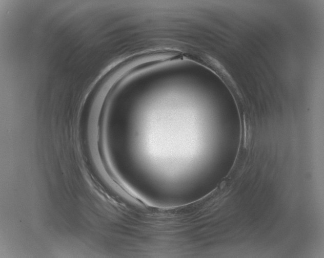 X0000079320435200612011846