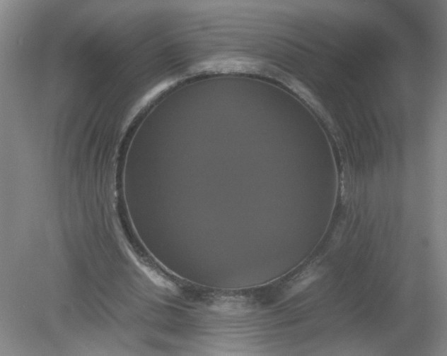 X0000079320438200612011846