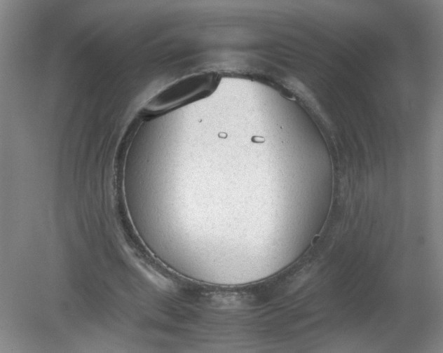 X0000079320439200612011846