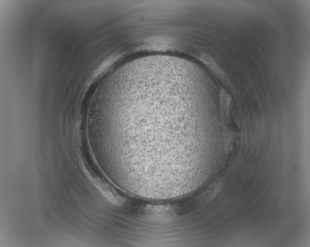 X0000079320440200612011846