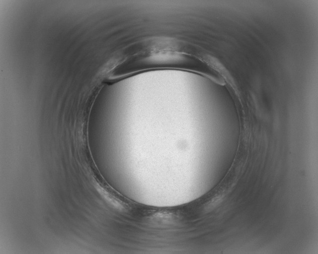 X0000079320441200612011846