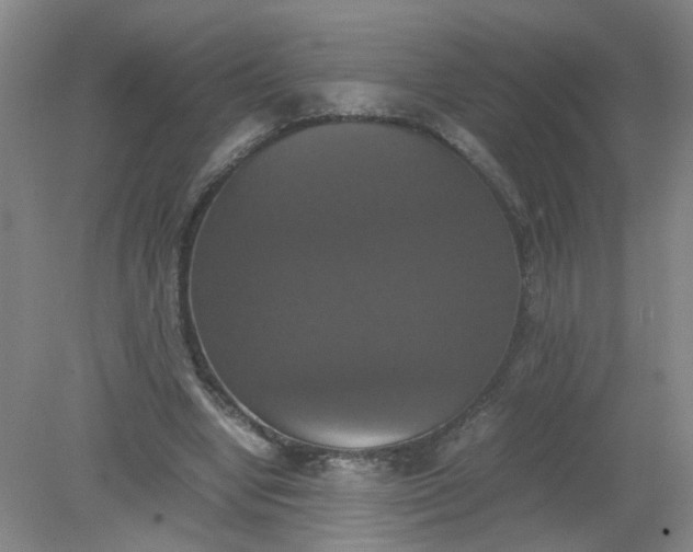 X0000079320442200612011846