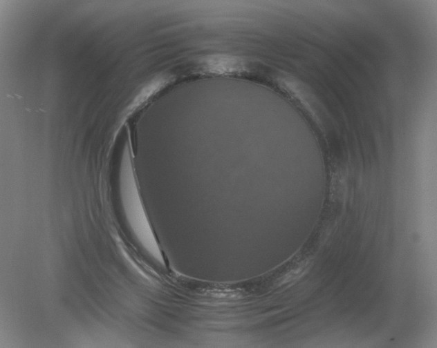 X0000079320443200612011846