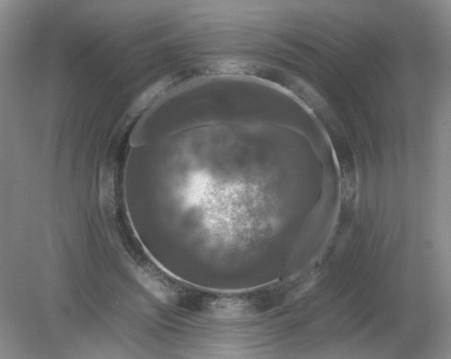 X0000079320444200612011846