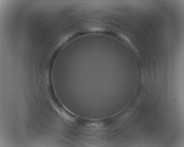 X0000079320447200612011846