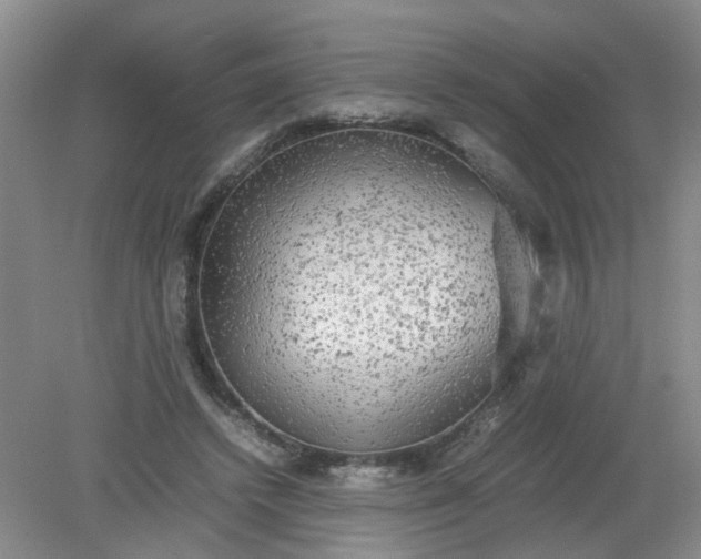 X0000079320448200612011846