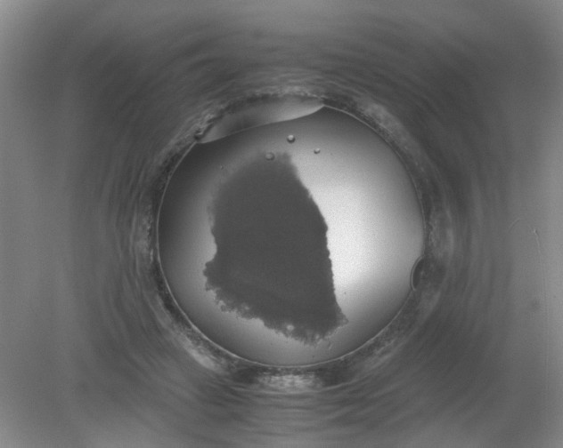 X0000079320449200612011846