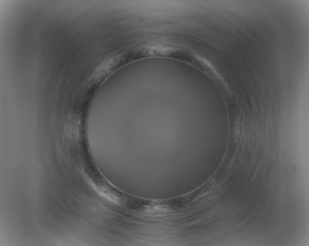 X0000079320451200612011846