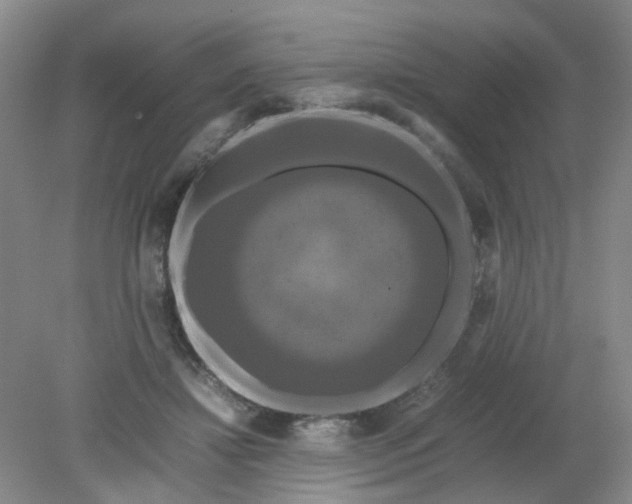 X0000079320452200612011846