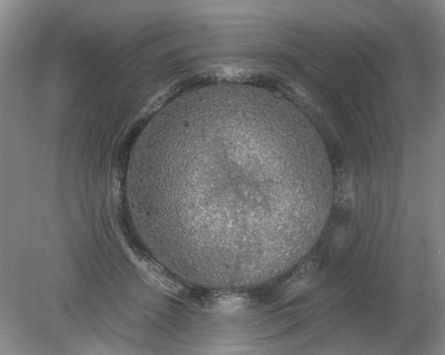 X0000079320456200612011846