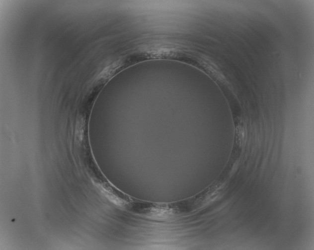 X0000079320458200612011846