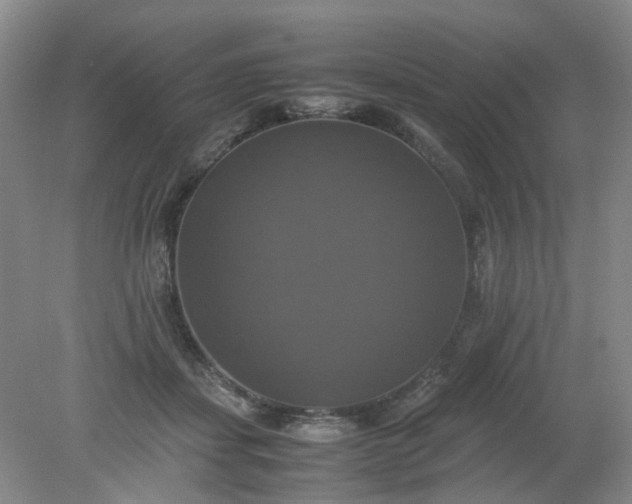 X0000079320459200612011846