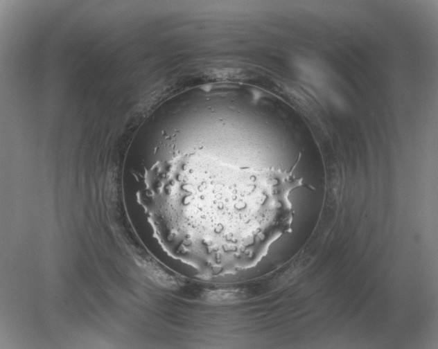 X0000079320461200612011846