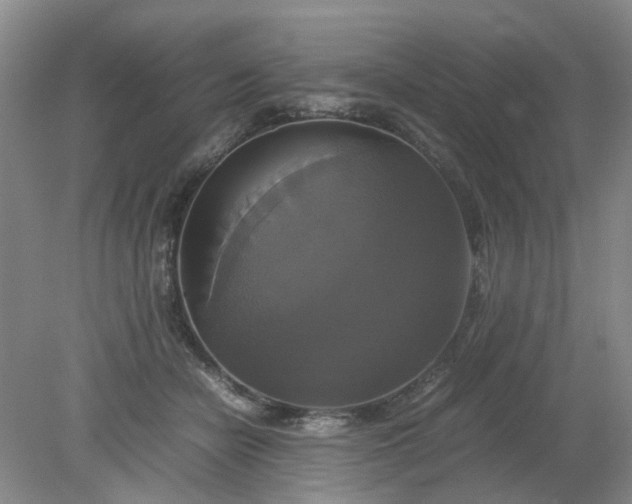 X0000079320462200612011846