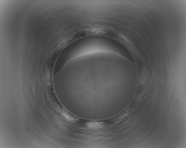 X0000079320465200612011846