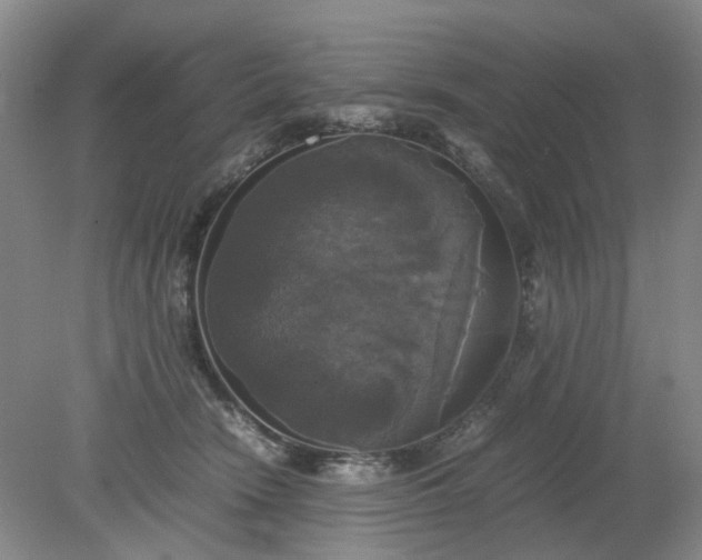 X0000079320466200612011846