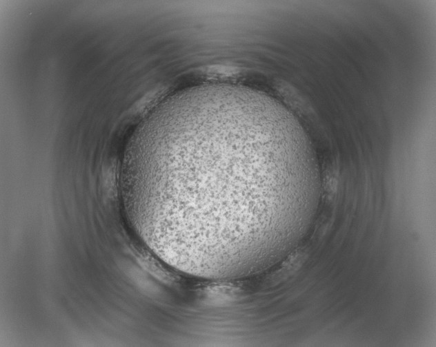 X0000079320468200612011847