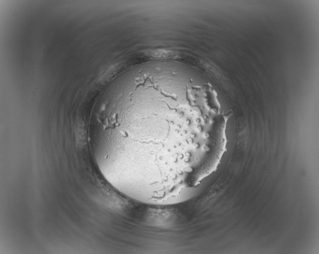 X0000079320469200612011847