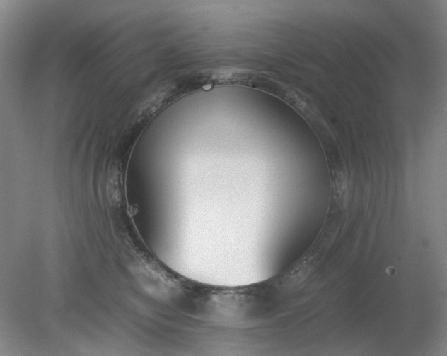 X0000079320470200612011847