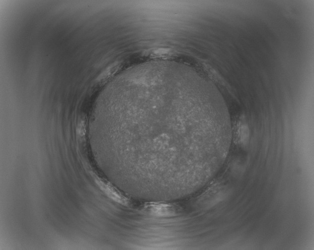 X0000079320472200612011847