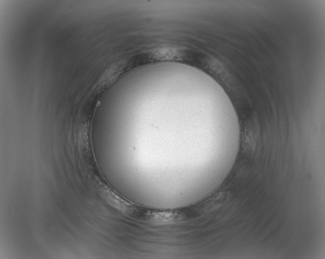 X0000079320473200612011847