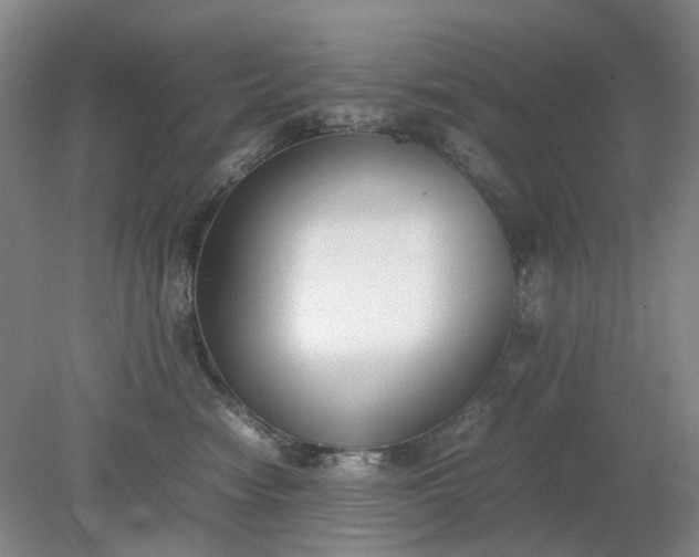 X0000079320474200612011847