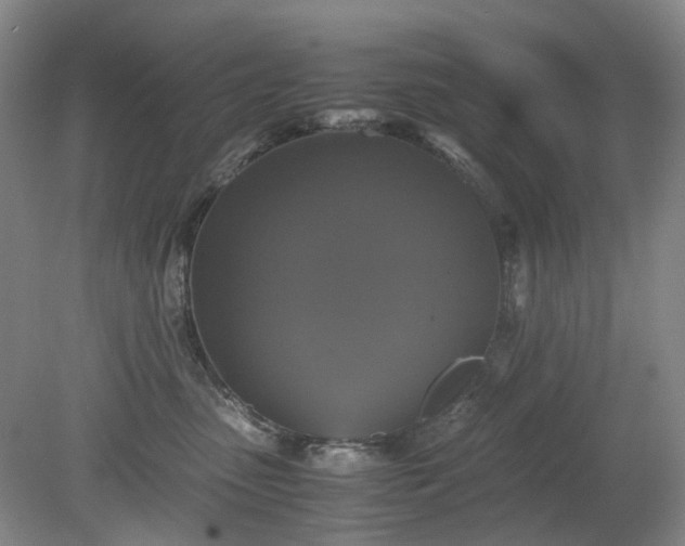 X0000079320475200612011847