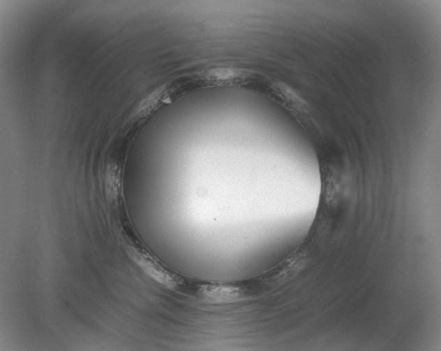 X0000079320476200612011847