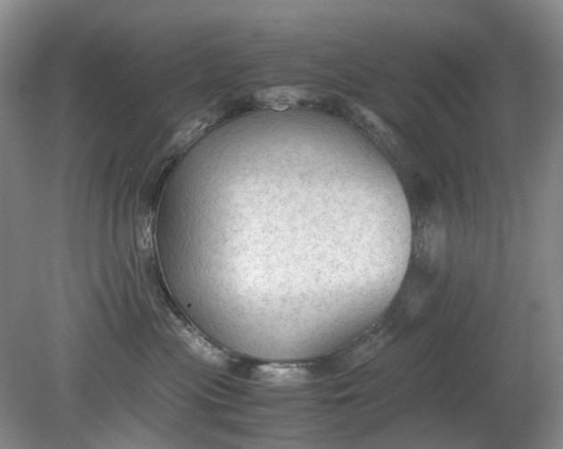 X0000079320477200612011847