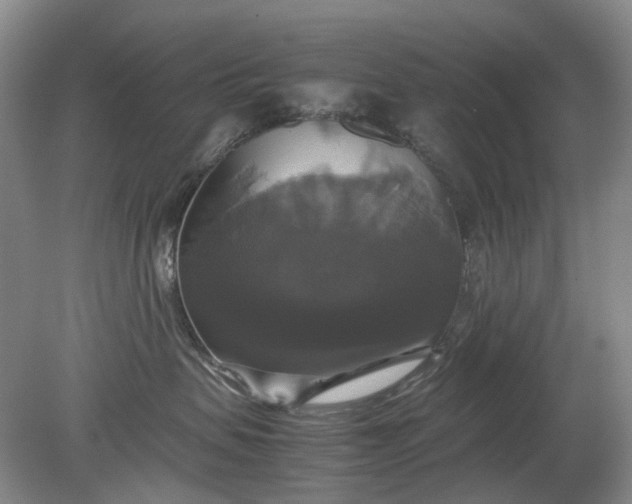 X0000079320479200612011847