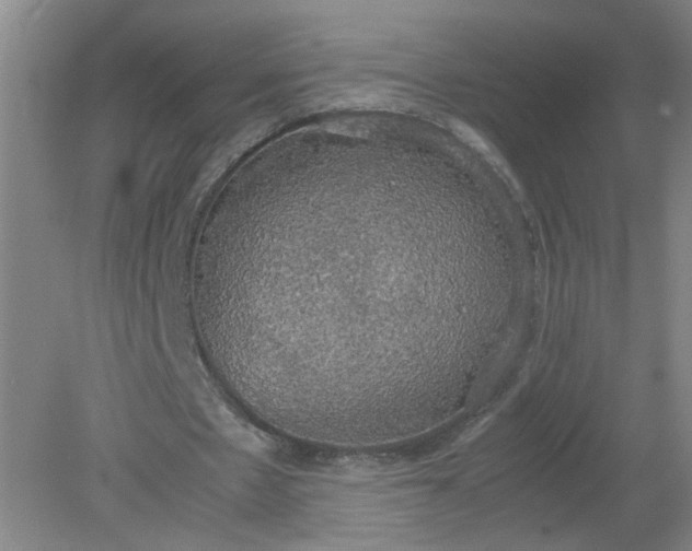 X0000079320481200612011846