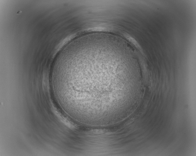 X0000079320482200612011846