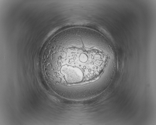 X0000079320483200612011846