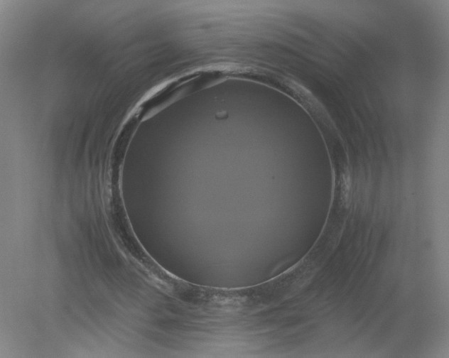 X0000079320484200612011846