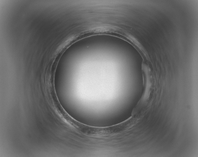 X0000079320485200612011846