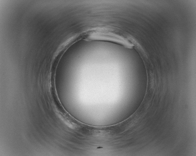 X0000079320486200612011846