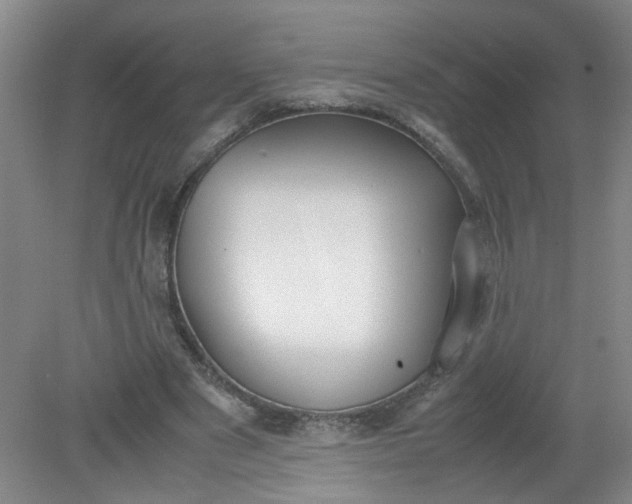 X0000079320489200612011846