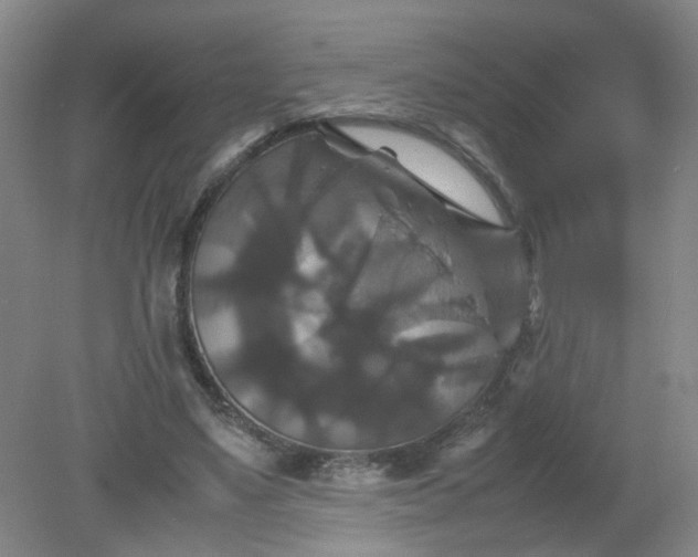 X0000079320491200612011846