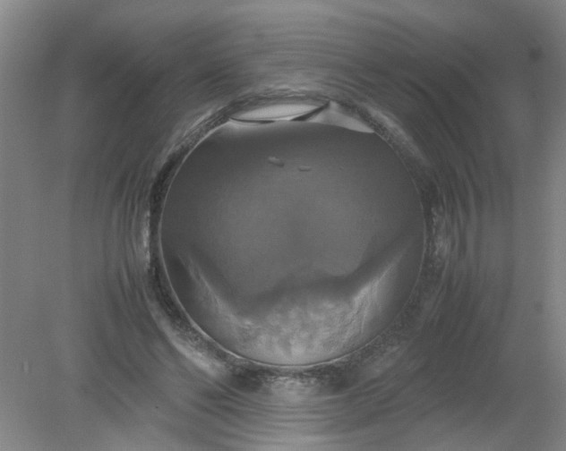 X0000079320494200612011846