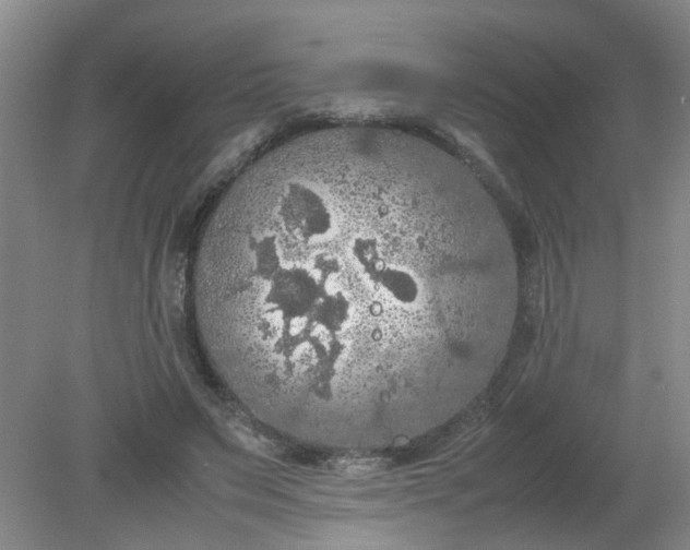 X0000079320495200612011846