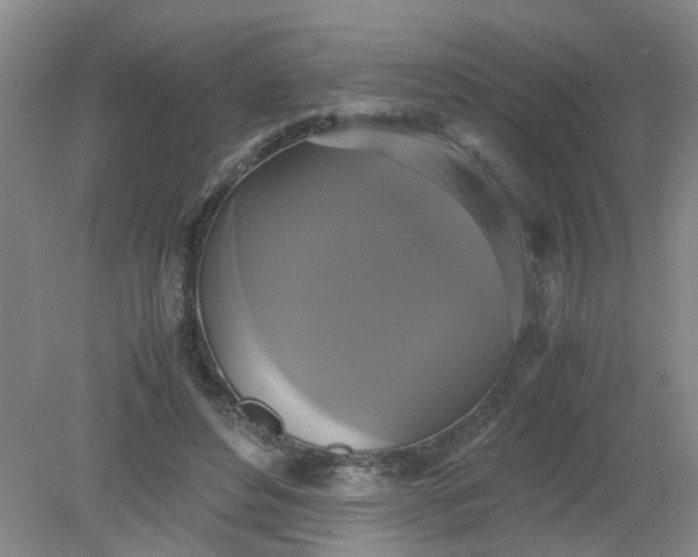 X0000079320496200612011846