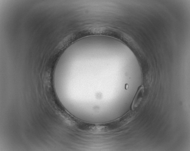 X0000079320497200612011846