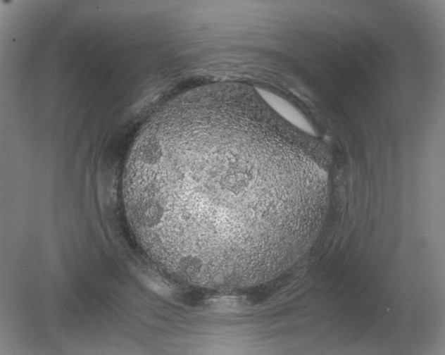 X0000079320499200612011846