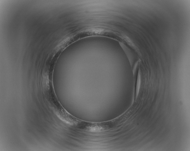 X0000079320500200612011846