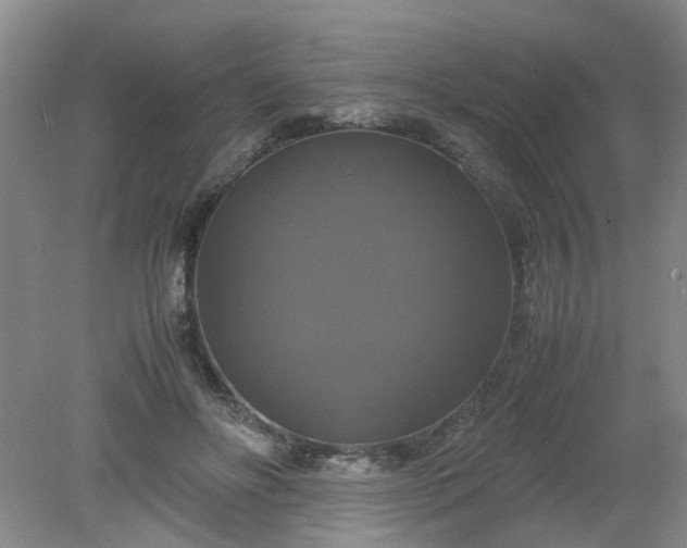 X0000079320502200612011846